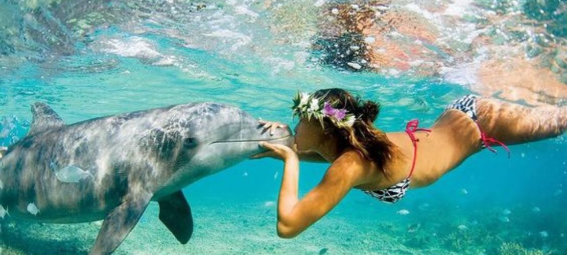 Discover Unrivaled Water Games at Aqua Dolphin