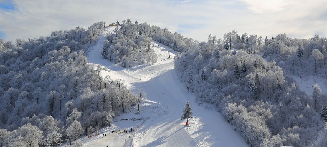  Kartepe Kayak Merkezi VIP Transfer